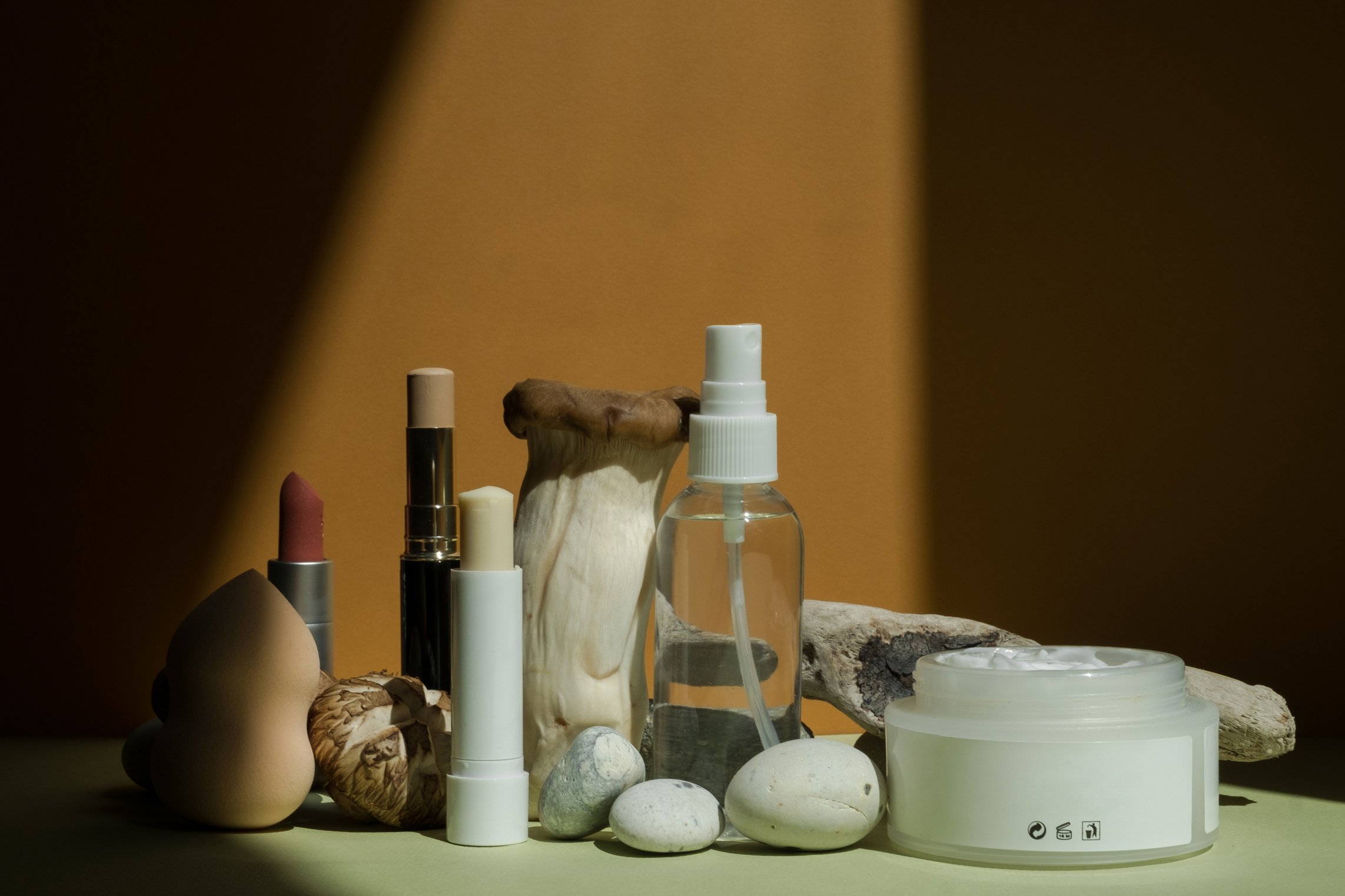 Assorted Skincare Products on Natural Light 